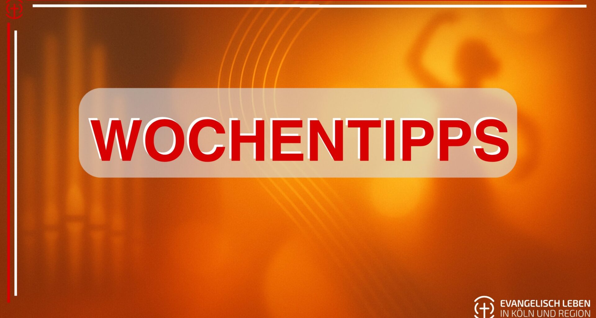 You are currently viewing Unsere Wochentipps: Flamenco-Konzert, künstlerische Orgelklänge und Demokratiefestival