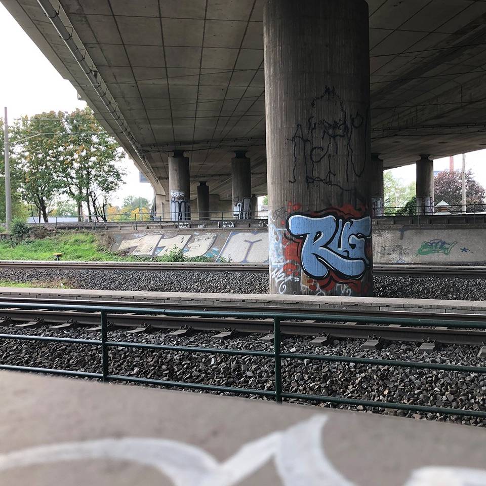Kein Geld da für den Neubau des Bonner Tausendfüßlers?