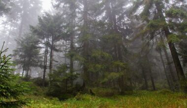 „Das Reich der sieben Höfe“ liebst du? Diese Fantasyromane fesseln dich genauso