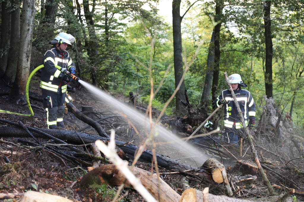 Bielefeld: Das Navi für Waldbrände