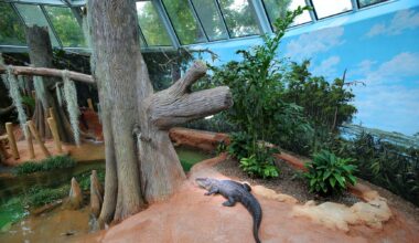 Zoo Leipzig eröffnet modernes Terrarium in historischem Gewand