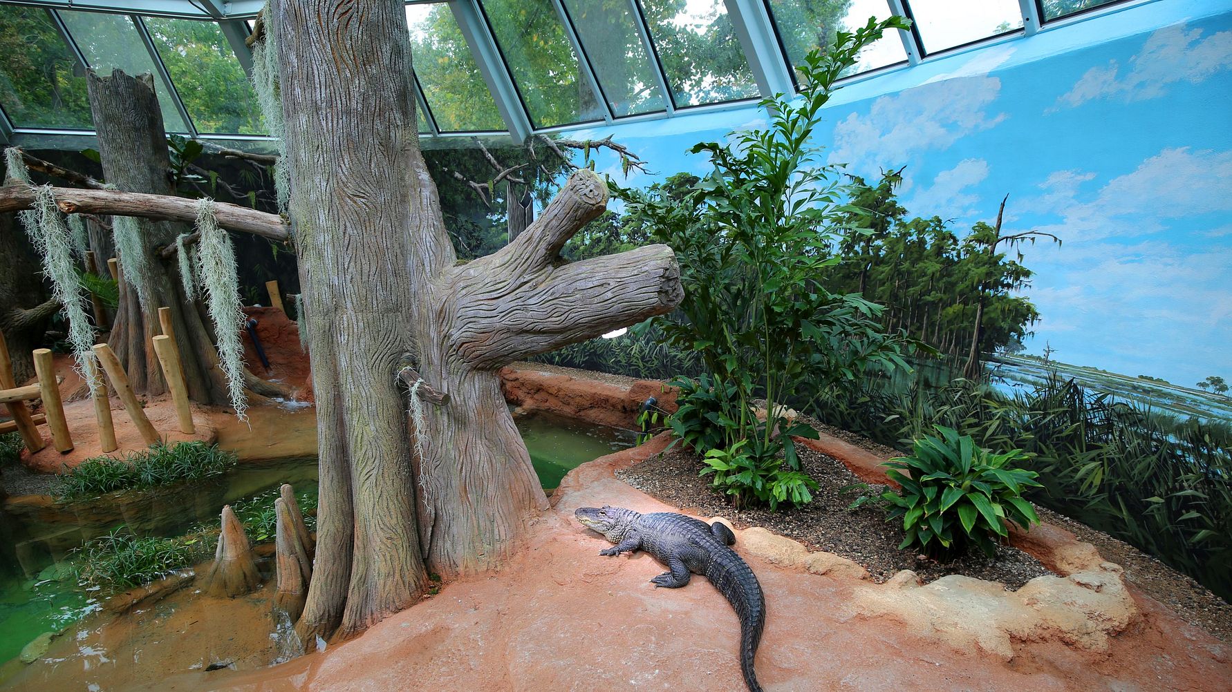 Zoo Leipzig eröffnet modernes Terrarium in historischem Gewand