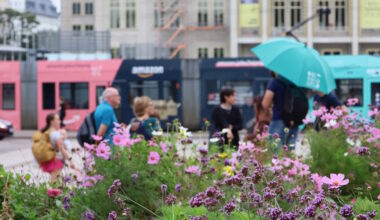 Beherbergungssteuer spielte 2024 sogar 14 Millionen Euro ein · Leipziger Zeitung