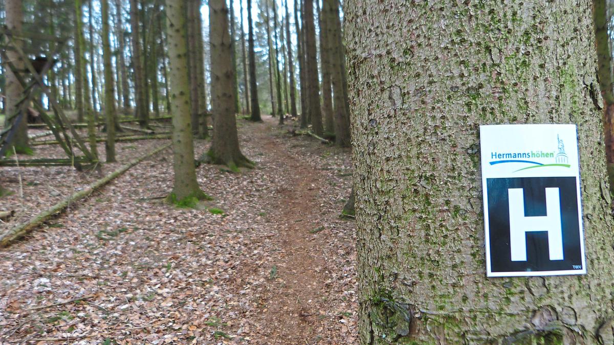Motocrossbiker fährt Ranger auf Hermannsweg bei Bielefeld um