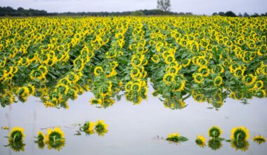 Europas Natur unter Stress: Schuld ist oft die Landwirtschaft - Politik