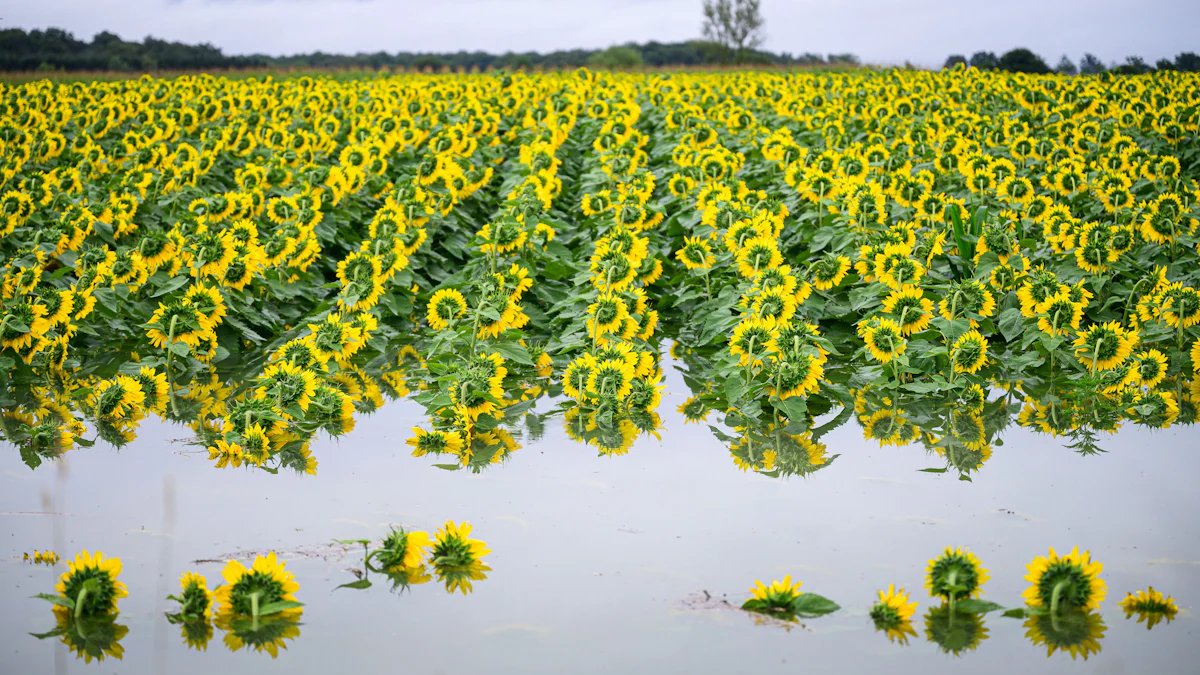Europas Natur unter Stress: Schuld ist oft die Landwirtschaft - Politik