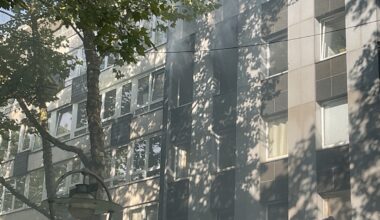 Wohnungsbrand in Dortmund ++ 1 Mensch und 2 Katzen verletzt