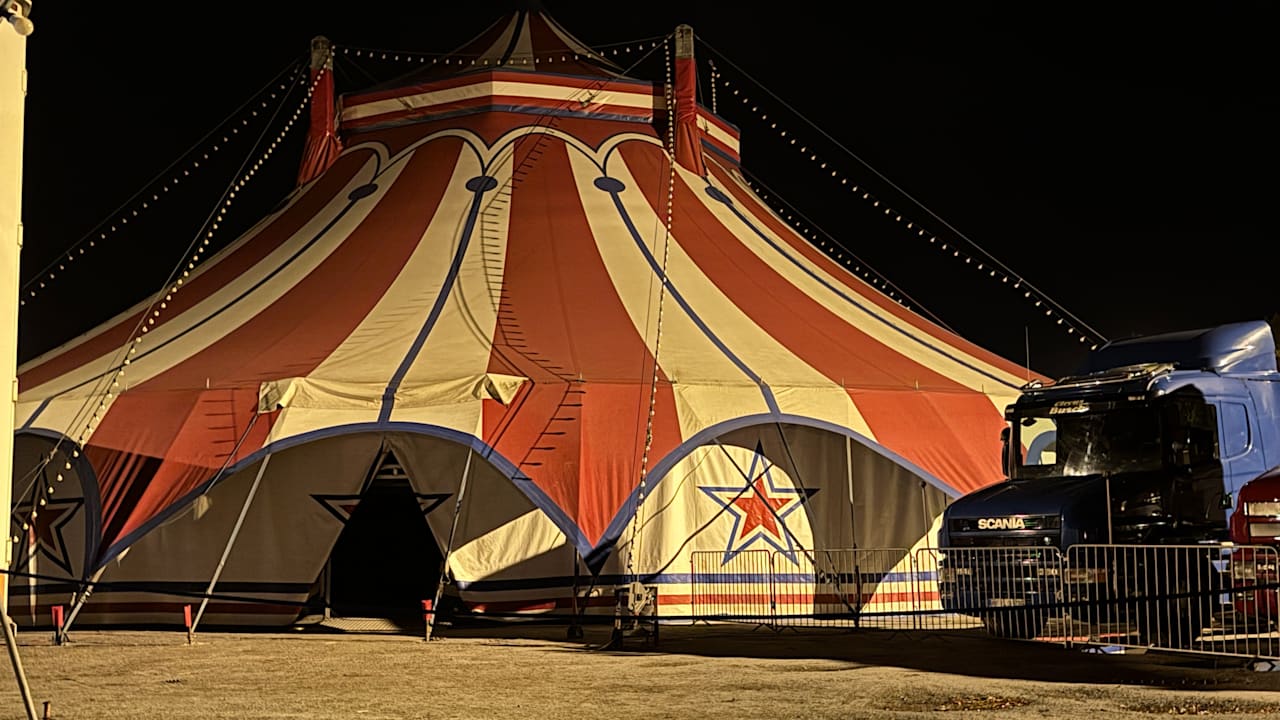 Bautzen: Zirkus-Artistin stürzt vor 80 Zuschauern in den Tod | Regional