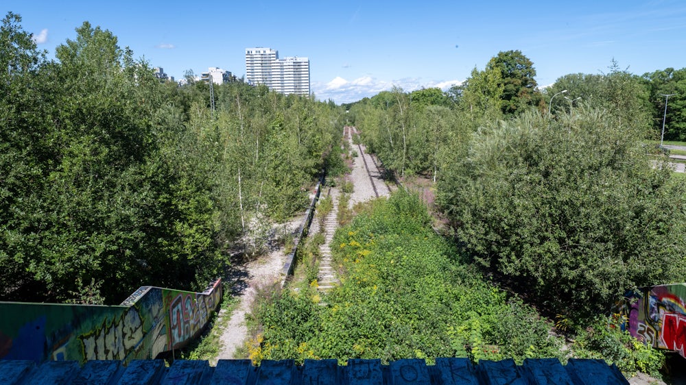 Auf den Gleisen wuchern die Sträucher, auf den Bahnsteigen wachsen Bäume: Der Bahnhof am Olympiapark gilt als bekannter „Lost Place“.