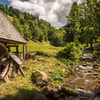 Vergessen Sie den Bodensee, Sie müssen unbedingt in den Schwarzwald