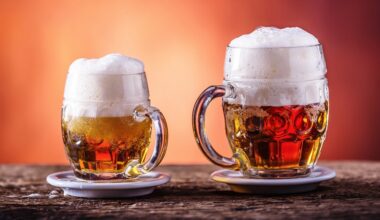 Oktoberfest München 2025: Bier Preise für eine Maß: Was kostet Essen auf der Wiesn, Kiffen verboten