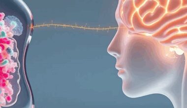 Darmmikrobiom: Neuer Hoffnungsträger gegen Alzheimer