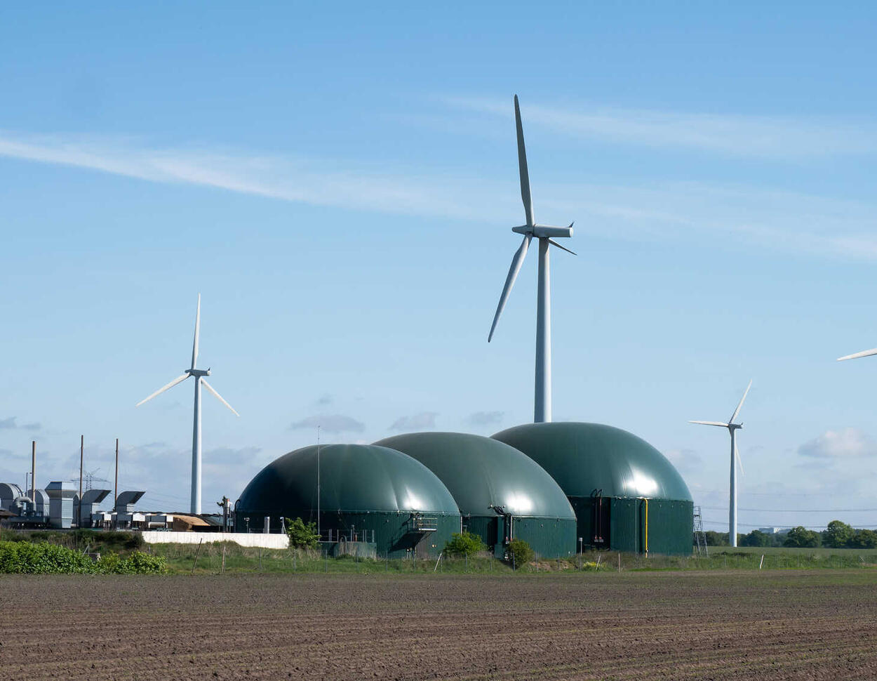 Energie oder Essen: Konkurrenz oder sinnvolle Ergänzung?