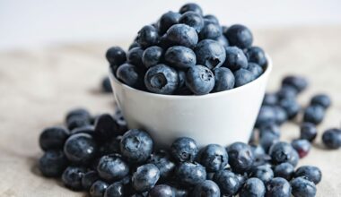 Jeden Tag Blaubeeren: Das sind die Folgen