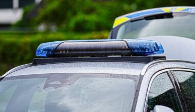 Skelett im Wald bei Dresden gefunden - Polizei sucht Hinweise