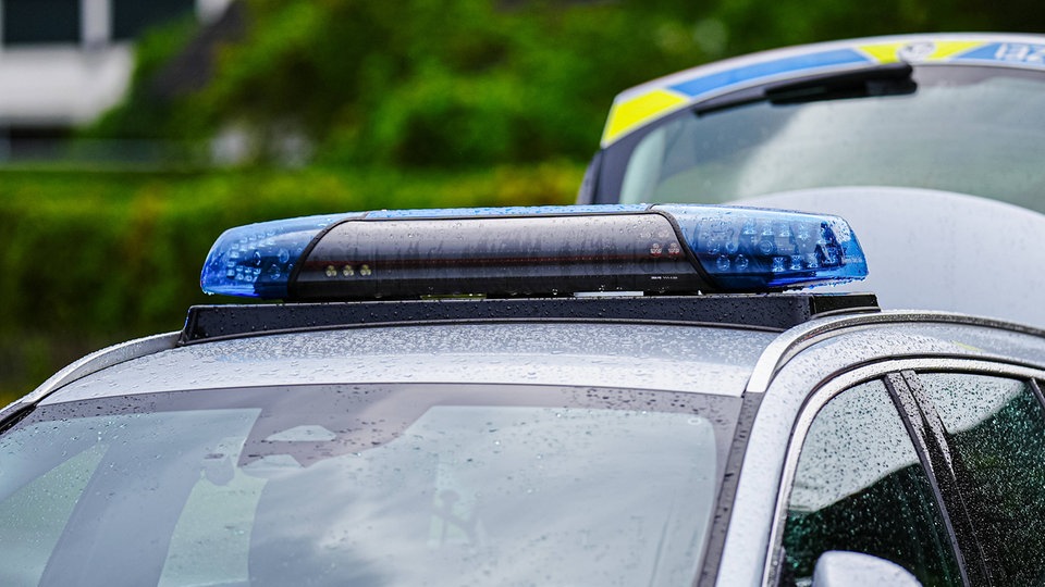 Skelett im Wald bei Dresden gefunden - Polizei sucht Hinweise