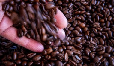 Geruch nach Kaffee stoppt millionenschweres Bauprojekt in Hamburg | Regional
