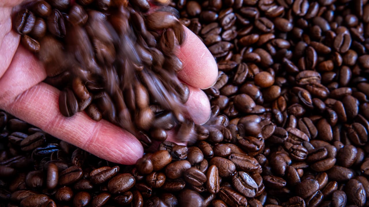 Geruch nach Kaffee stoppt millionenschweres Bauprojekt in Hamburg | Regional