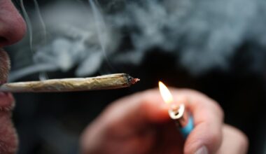 Union dringt nach Zwischenbericht auf schärfere Cannabis-Regeln