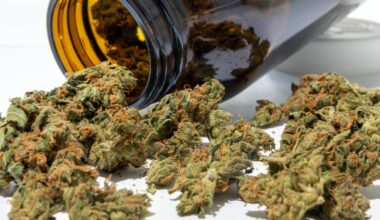 Bis zu 140 Kilogramm Marihuana beschafft – vier Männer in U-Haft