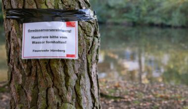 Rätselhaftes Fischsterben im Nürnberger Langwassersee