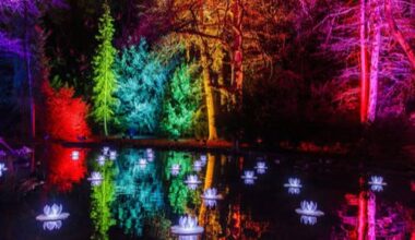 Christmas Garden kommt wieder nach Pillnitz