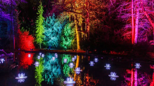 Christmas Garden kommt wieder nach Pillnitz