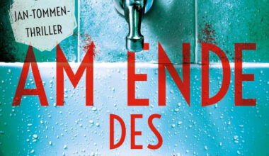 Am Ende des Sturms von Alexander Hartung - Berlin, eine Badewanne und eine Spur, die nach Süden zieht