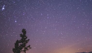 Gedenkgottesdienst für Familien von Sternenkindern