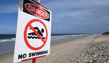Sydney | Surfer stirbt nach mutmaßlicher Hai-Attacke in Sydney