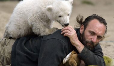 Berlin | Museumsdirektor: Hype um Eisbär Knut kaum mehr spürbar