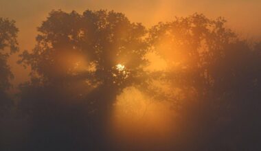 Offenbach | Im Westen Gewitter und Starkregen möglich