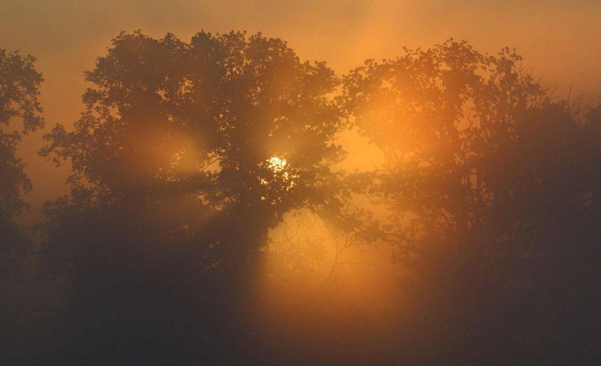 Offenbach | Im Westen Gewitter und Starkregen möglich