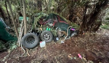 Wellington | Neuseeland: Erste Fotos vom Camp des Kindesentführers