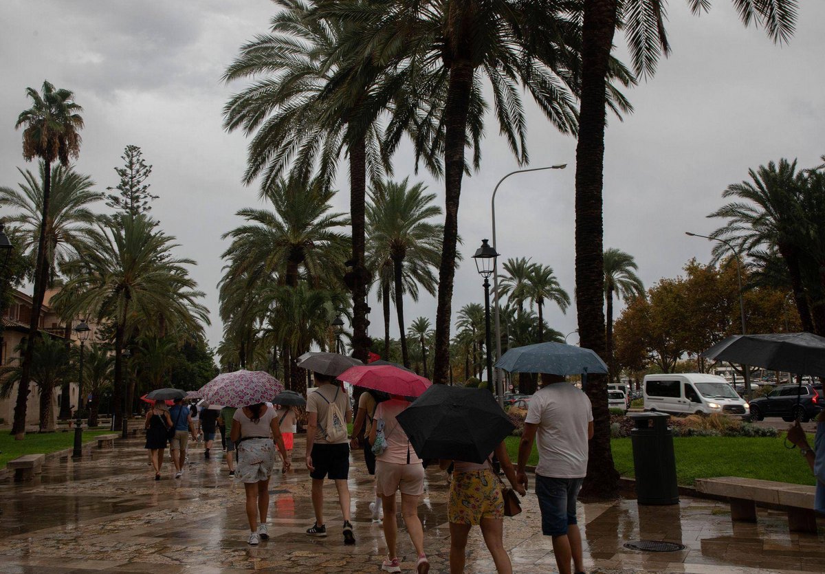 Palma | Sturm und Regen sorgen für Chaos auf Mallorca