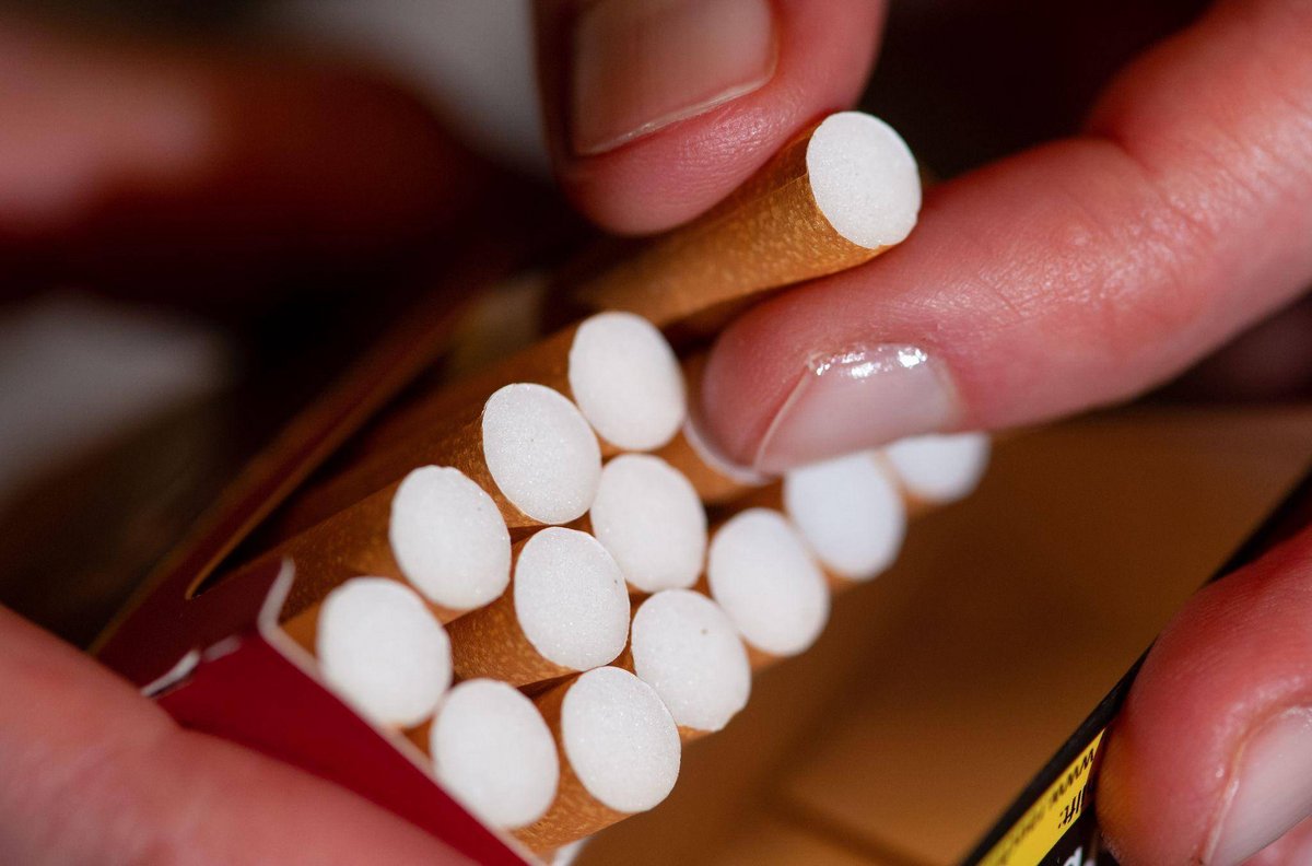 Berlin | Rauchende Popstars: Wird die Zigarette gerade wieder cool?