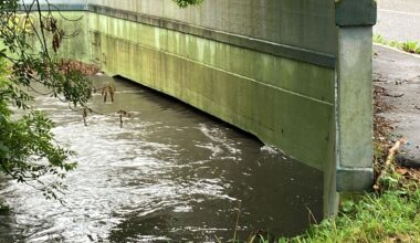 Niersbrücke auf der K5 zwischen Korschenbroich und Mönchengladbach wieder für den Verkehr freigegeben