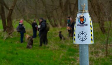 Wufftours: Gemeinsame Erlebnisse für Mensch und Hund