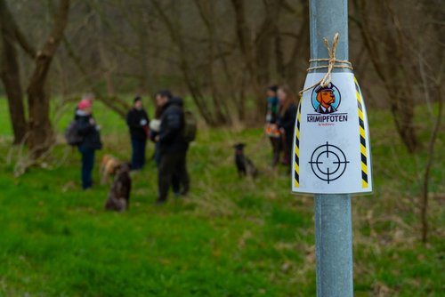 Wufftours: Gemeinsame Erlebnisse für Mensch und Hund