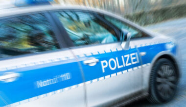 Hund überfahren - und einfach abgehauen