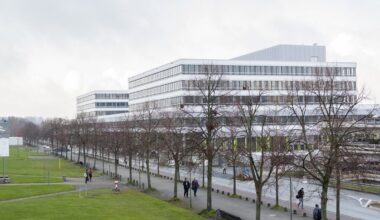 Studie der Uni Bielefeld: Mauereidechsen sind in Städten geselliger