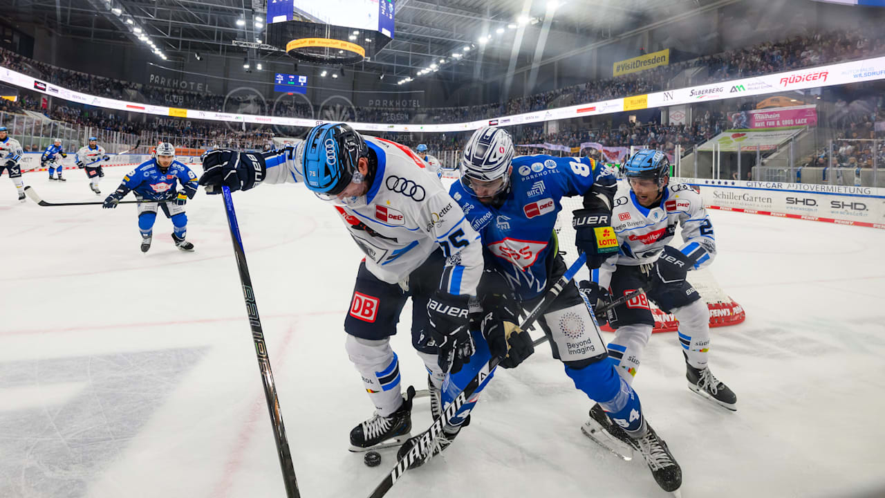 Eishockey: Dresden verliert erstes DEL-Heimspiel gegen Ingolstadt | Sport