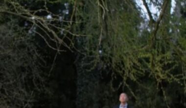 Kritik zu Silent Friend: Der Baum des Lebens steht in Marburg