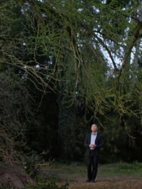 Kritik zu Silent Friend: Der Baum des Lebens steht in Marburg