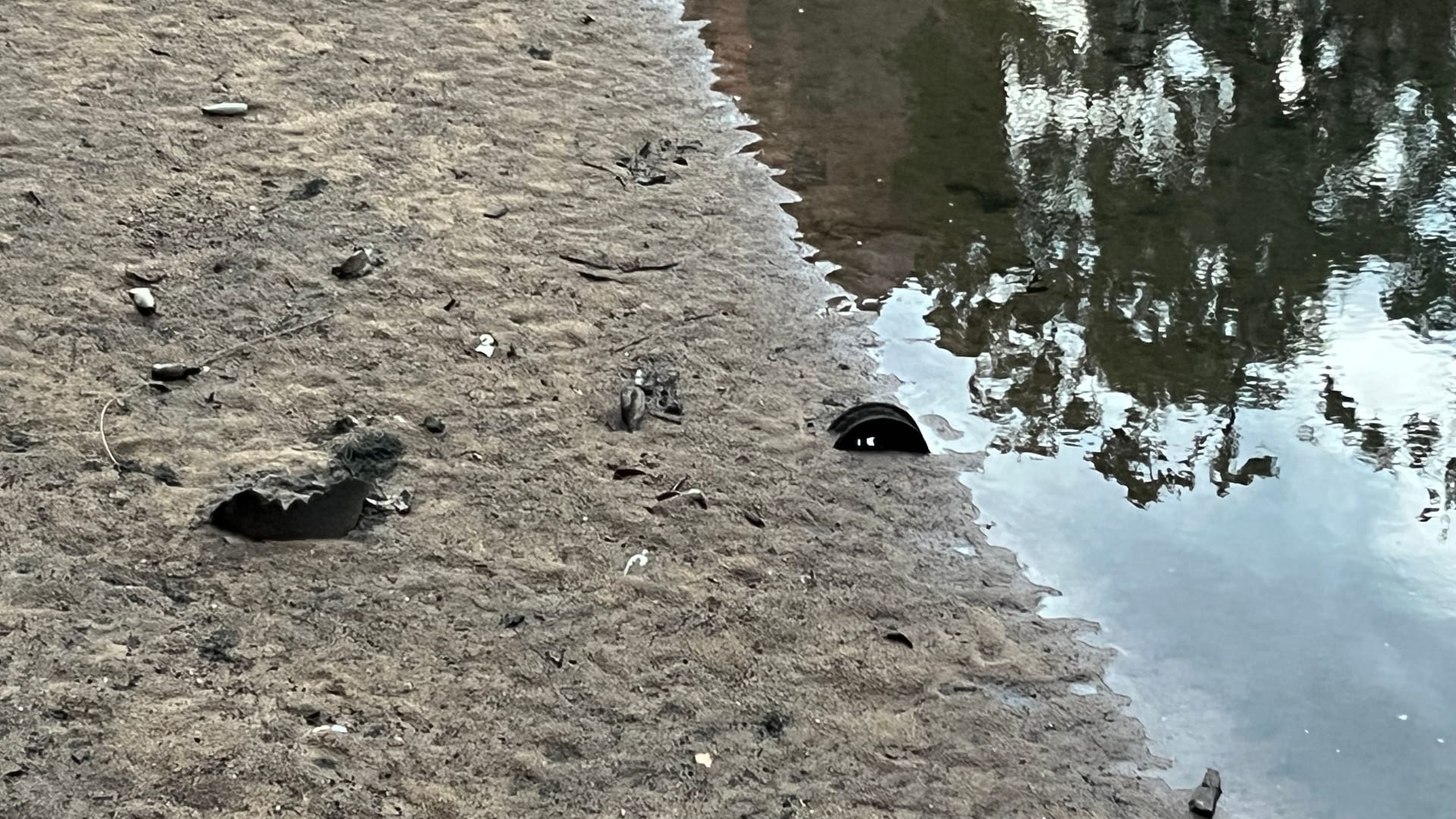 Das Flussbett der Pegnitz am Dienstagabend: Weil der Wasserpegel abgesenkt wurde, kommt Müll zum Vorschein – hier die Reste eines Autoreifens.