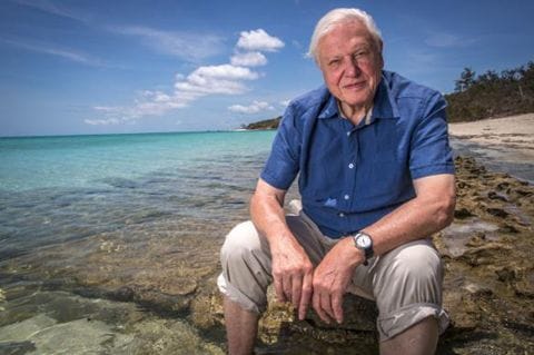 Der britische Naturforscher David Attenborough am Great Barrier Riff in Australien.