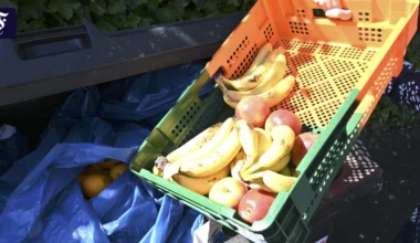 Lebensmittelabfälle: Überschwang hilft nicht gegen Verschwendung