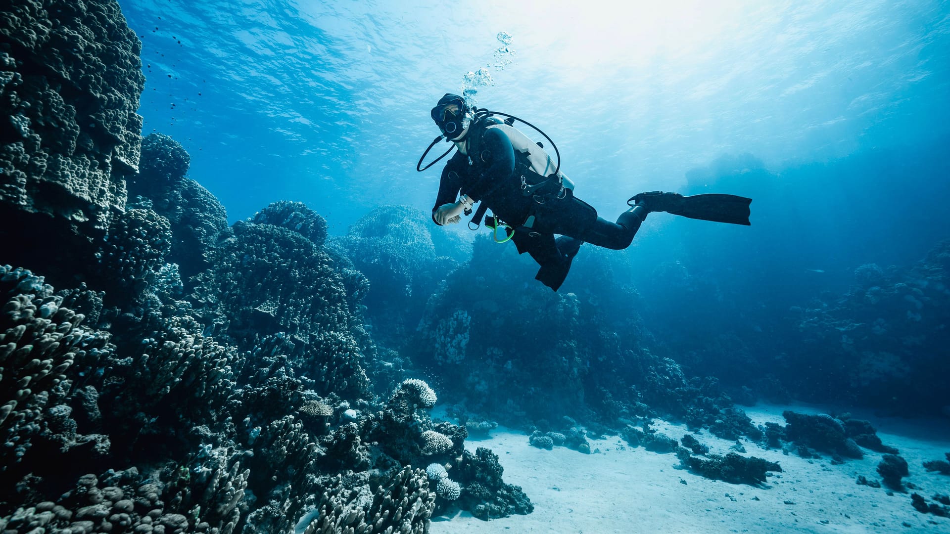 imago images 0835635230