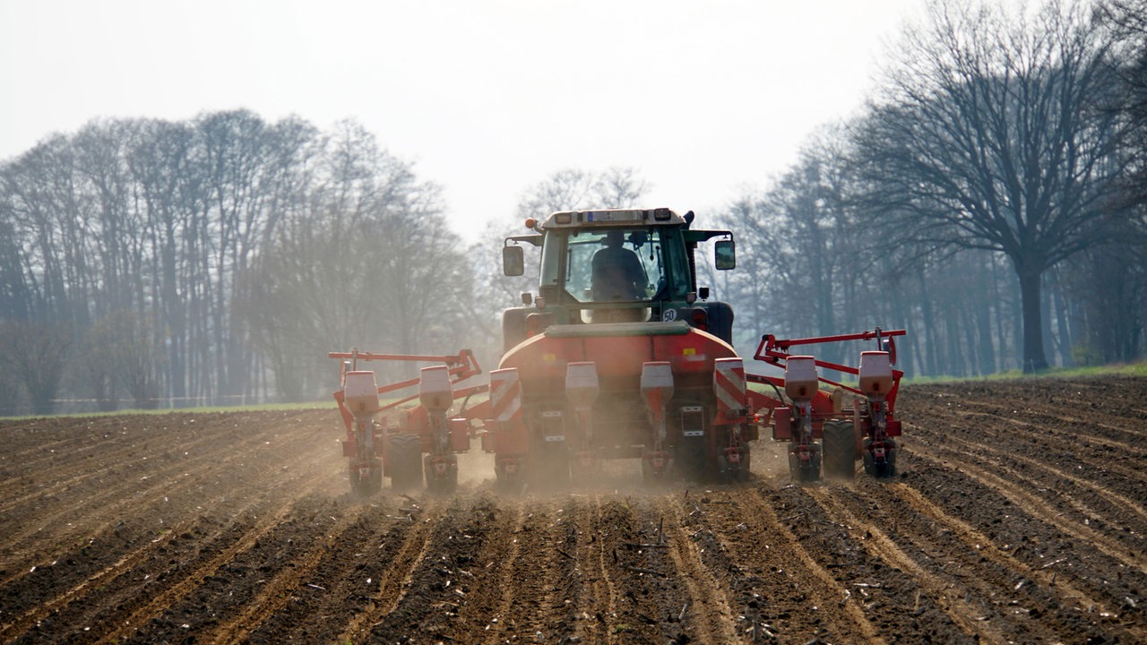"Es gibt ein Umdenken": Landwirte aus Bremen und umzu sind zufrieden