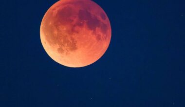 Rötliche Scheibe: Totale Mondfinsternis über Deutschland